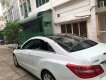 Mercedes-Benz E class E350 2010 - Bán ô tô Mercedes E350 đời 2010, màu trắng