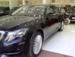 Mercedes-Benz S class S500L 2016 - Bán xe Mercedes S500L đời 2016, màu đen như mới