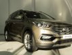 Hyundai Santa Fe 4WD   2018 - Hyundai BRVT-Bán Hyundai Santa Fe 4WD - Dầu -- 2018, màu vàng cát-- giao xe ngay