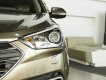 Hyundai Santa Fe 4WD   2018 - Hyundai BRVT-Bán Hyundai Santa Fe 4WD - Dầu -- 2018, màu vàng cát-- giao xe ngay