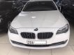 BMW 5 Series 523i 2010 - Cần bán lại xe BMW 5 Series 523i 2010, màu trắng, nhập khẩu nguyên chiếc