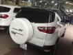 Ford EcoSport 2016 - Bán Ford EcoSport năm 2016, màu đen trắng, 560tr