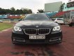 BMW 5 Series 520i 2014 - Bán BMW 5 Series 520i năm 2014, xe nhập khẩu Đức