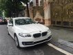 BMW 5 Series 520i 2014 - Chính chủ bán BMW 5 Series 520i 2014, màu trắng, nhập khẩu
