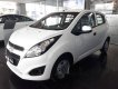 Chevrolet Spark  Van  2017 - Bán xe Chevrolet Spark Van 2017, màu trắng 