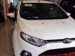 Ford EcoSport Titanium 1.5P AT 2017 - Bán ô tô Ford EcoSport Titanium 1.5P AT sản xuất năm 2017, màu trắng