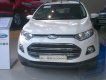 Ford EcoSport Titanium 1.5P AT 2017 - Bán ô tô Ford EcoSport Titanium 1.5P AT sản xuất năm 2017, màu trắng