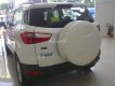 Ford EcoSport Titanium 1.5P AT 2017 - Bán ô tô Ford EcoSport Titanium 1.5P AT sản xuất năm 2017, màu trắng