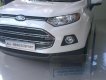 Ford EcoSport Titanium 1.5P AT 2017 - Bán ô tô Ford EcoSport Titanium 1.5P AT sản xuất năm 2017, màu trắng