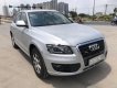 Audi Q5 2010 - Bán xe Audi Q5 sản xuất 2010, màu bạc, xe nhập