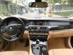 BMW 5 Series 520i 2016 - Bán xe BMW 5 Series 520i đời 2016, màu đen, nhập khẩu