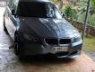 BMW 3 Series  320i  2009 - Cần bán BMW 3 Series 320i đời 2009, màu xám