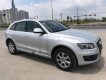 Audi Q5 2010 - Bán xe Audi Q5 sản xuất 2010, màu bạc, xe nhập