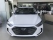 Hyundai Elantra 2018 - Bán xe Hyundai Elantra 2018 số sàn, giá nát
