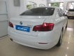 BMW 5 Series  520i 2013 - Bán BMW 5 Series 520i đời 2013, màu trắng, nhập khẩu  