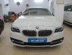 BMW 5 Series  520i 2013 - Bán BMW 5 Series 520i đời 2013, màu trắng, nhập khẩu  