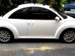 Volkswagen New Beetle 2007 - Siêu xe thể thao New Beetle, nhập khẩu. Xe tuyệt đẹp, giá chỉ 439tr