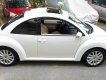 Volkswagen New Beetle 2007 - Siêu xe thể thao New Beetle, nhập khẩu. Xe tuyệt đẹp, giá chỉ 439tr