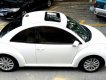 Volkswagen New Beetle 2007 - Siêu xe thể thao New Beetle, nhập khẩu. Xe tuyệt đẹp, giá chỉ 439tr