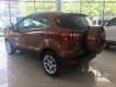 Ford EcoSport Ecoboost 1.0 AT 2018 - Bán Ford EcoSport Ecoboost đời 2018, màu nâu tại Cao Bằng