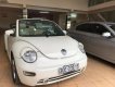 Volkswagen Beetle 2.5 2004 - Cần bán xe Volkswagen Beetle 2.5 2004, màu nâu, xe nhập, 360tr