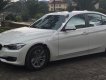 BMW 3 Series 320i 2014 - Cần bán gấp BMW 3 Series 320i đời 2014, màu trắng, nhập khẩu nguyên chiếc chính chủ, 950tr
