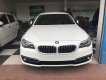 BMW 5 Series 520i 2014 - Bán xe BMW 520i sản xuất 2014 màu trắng, 1 tỷ 470 triệu nhập khẩu