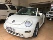 Volkswagen Beetle 2.5 2004 - Cần bán xe Volkswagen Beetle 2.5 2004, màu nâu, xe nhập, 360tr