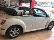 Volkswagen Beetle 2.5 2004 - Cần bán xe Volkswagen Beetle 2.5 2004, màu nâu, xe nhập, 360tr