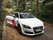 Audi TT AT 2009 - Bán Audi TT AT năm sản xuất 2009, màu trắng, xe nhập ít sử dụng giá cạnh tranh