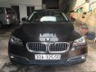 BMW 5 Series 520i 2013 - Bán BMW 5 Series 520i đời 2013, màu xám, nhập khẩu