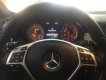 Mercedes-Benz GL Cũ Mercedes-Benz A 250 2015 - Xe Cũ Mercedes-Benz GLA 250 2015