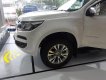 Chevrolet Colorado LTZ 2018 - Bán xe Chevrolet Trailblazer LTZ đời 2018, khuyến mãi khủng, quà tặng hấp dẫn, hỗ trợ vay ngân hàng 80 % giá trị xe