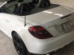 Mercedes-Benz SLK class  350 AMG 2009 - Bán xe SLK 350 AMG. Tìm chồng cho em gái trắng tinh khôi