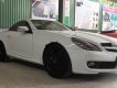 Mercedes-Benz SLK class SLK 350 2009 - Bán Mercedes SLK 350 đời 2009, màu trắng, xe nhập 