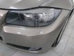 BMW 3 Series 320i 2009 - Bán BMW 3 Series 320i đời 2009, màu vàng, nhập khẩu