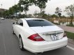 Mercedes-Benz CLS class 2009 - Bán Mercedes sản xuất năm 2009, màu trắng, nhập khẩu chính chủ