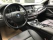 BMW 5 Series 523i 2011 - Bán ô tô BMW 5 Series sản xuất năm 2011, màu trắng, xe nhập