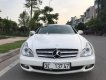 Mercedes-Benz CLS class 2009 - Bán Mercedes sản xuất năm 2009, màu trắng, nhập khẩu chính chủ