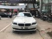 BMW 5 Series 523i 2011 - Bán ô tô BMW 5 Series sản xuất năm 2011, màu trắng, xe nhập