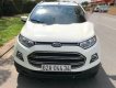 Ford EcoSport   1.5L AT Titanium  2015 - Cần bán xe Ford EcoSport 1.5L AT Titanium đời 2015, màu trắng xe gia đình, giá chỉ 530 triệu