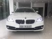 BMW 5 Series 520i 2014 - Cần bán xe BMW 5 Series 520i năm sản xuất 2014, màu trắng, nhập khẩu nguyên chiếc