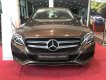 Mercedes-Benz C class C200 2017 - Bán ô tô Mercedes C200 đời 2018, màu nâu chính chủ