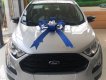 Ford EcoSport Trend MT 2018 - Bán Ford EcoSport Trend MT sản xuất 2018, màu trắng 