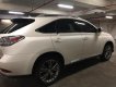 Lexus RX 2009 - Bán Lexus RX sản xuất 2009, màu trắng, nhập khẩu nguyên chiếc