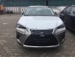 Lexus NX 300 2018 - Bán xe Lexus NX 300 sản xuất 2018, màu bạc, nhập khẩu