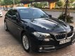 BMW 5 Series 520i 2014 - Bán BMW 5 Series 520i năm 2014, màu đen, xe nhập