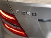 Mercedes-Benz C class C250 Blue 1.8 2012 - Bán Mercedes C250 Blue 1.8 2012, màu xám, nhập khẩu 