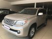 Lexus GX 460 2010 - Bán xe Lexus GX 460 2010, màu vàng, xe nhập