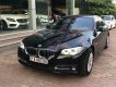 BMW 5 Series 520i 2014 - Bán BMW 5 Series 520i năm 2014, màu đen, xe nhập